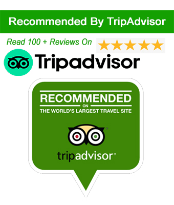 Tripadvisor Reviews