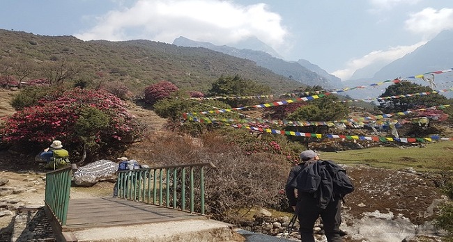 Everest Base Camp Trek By Road
