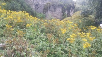 Khayar Lake Botanical Trek