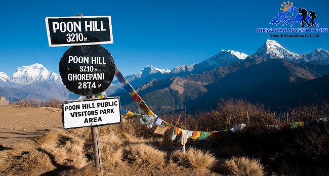 Poon Hill Trek