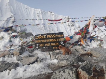 Trekking Guide Hire for Manaslu Circuit Trek