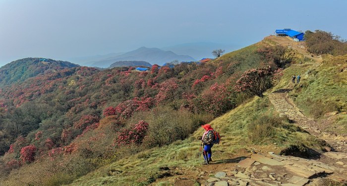 Mardi Himal Trek